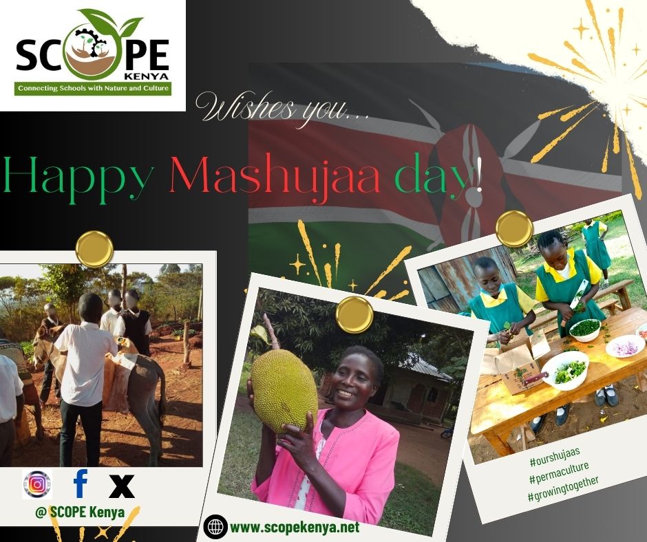 scope_kenya_'s tweet photo. 🇰🇪From us to you🎊🎊

🇰🇪Today we celebrate each one of you who is selflessly working towards making our country a better place
#MashujaaDay2024 #sunnysunday #Heroes #permacultureeducation #agroecology #heroesday #growingtogether https://t.co/clIN3gI9is