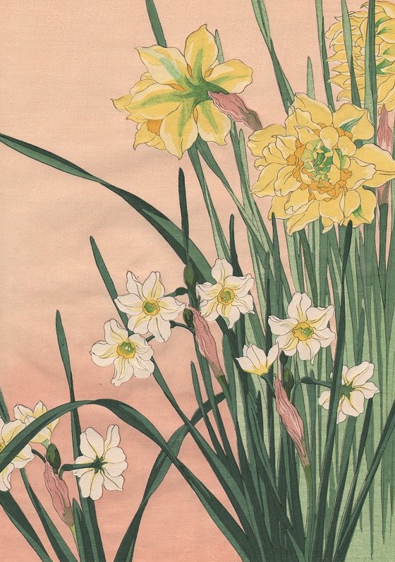 水仙や美人かうべをいたむらし
suisen ya bijin koube wo itamurashi

narcisi ‒
una splendida donna
col mal di testa

#haiku di Yosa Buson (1716-1784), tr. Luca Cenisi

Da: T. Ogata (a cura di), Buson zenshū, Vol. 3, Kōdansha, 1992, p. 138

Immagine: Hodō Nishimura, Narcisi (1937)
