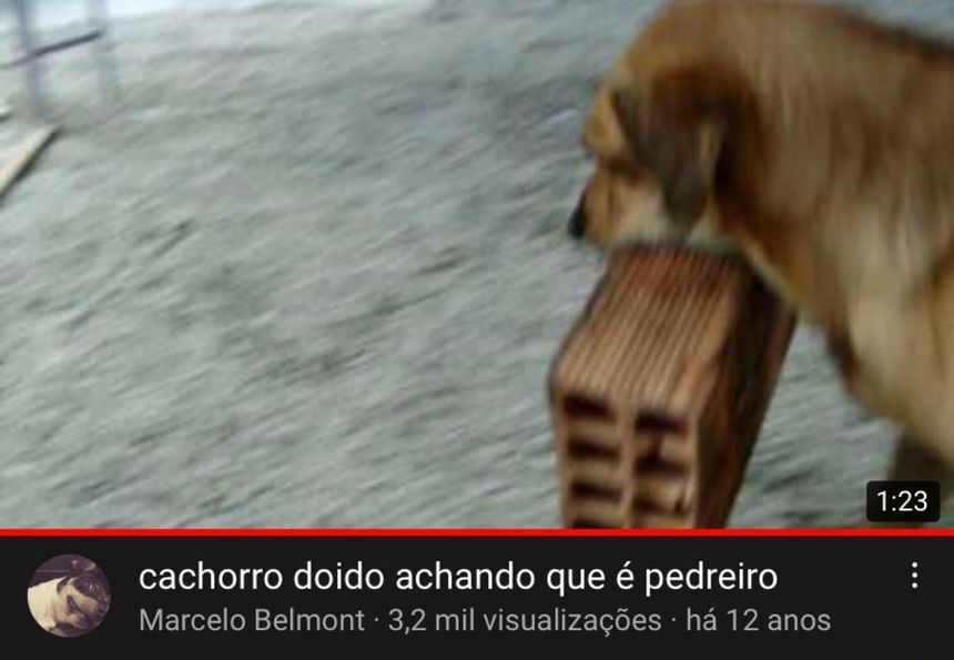 Homens vão olhar e dizer "taporra"

A Thread.