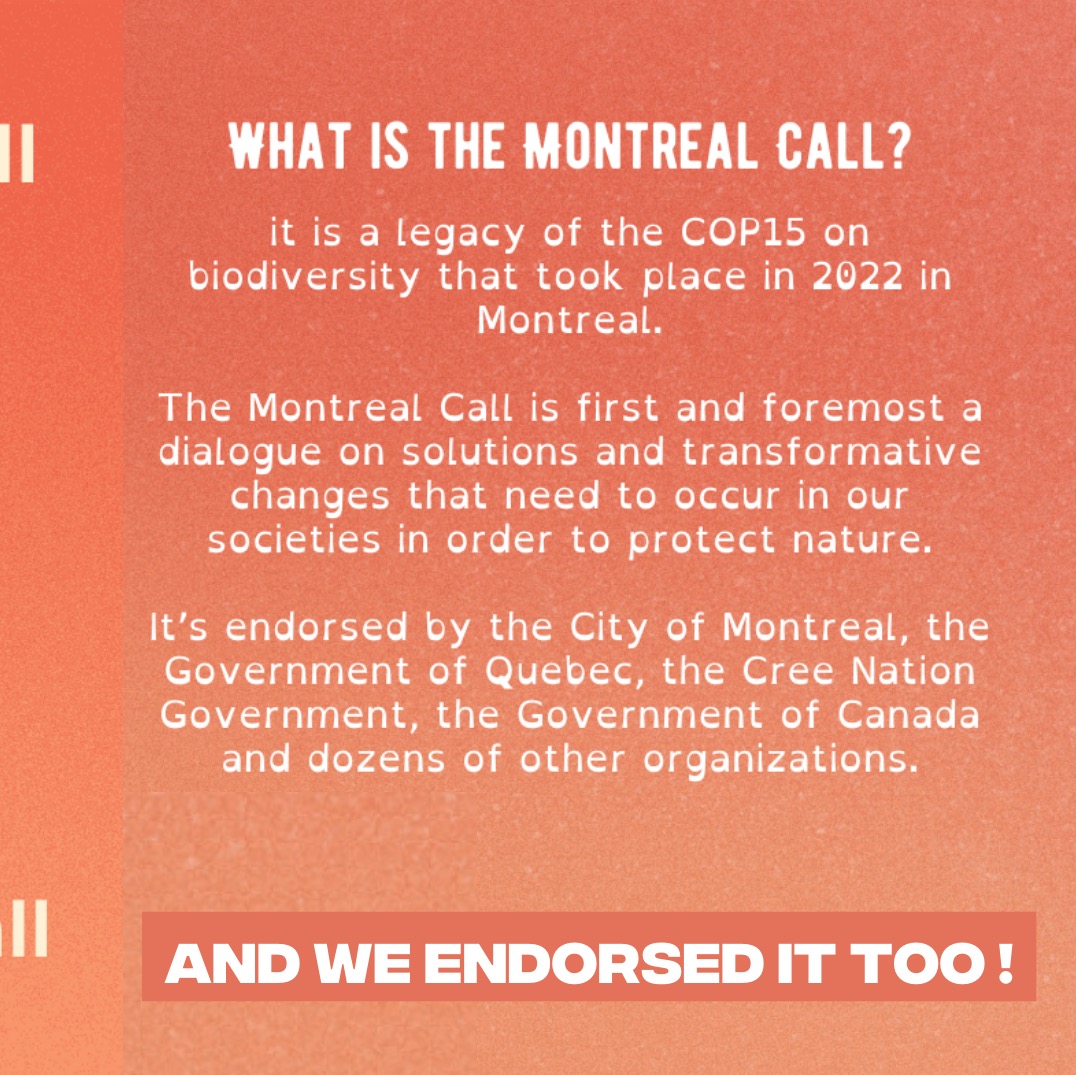 surfridereurope's tweet photo. 🔵 The #MontrealCall: An invitation to act for biodiversity &amp; the ocean! 🔵 #COP16 is about to begin, and we are fully committed to supporting the #MTLCall. It’s time to implement systemic changes to protect our planet, the #ocean, and our futures 👉 https://t.co/gV0FSGVK4n https://t.co/MwrB8Lbfun