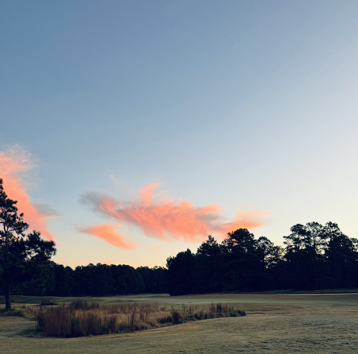 WestonDeanTurf's tweet photo. Beautiful start to this Sunday morning 
 #MyCarolinasMorning https://t.co/IjITWYPLQY