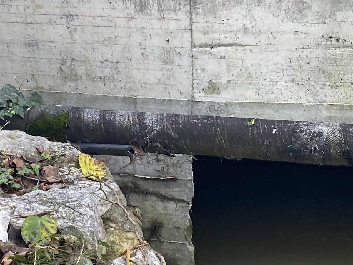 J_jack_K's tweet photo. @GruppoHera vi segnalo un tubo rotto di fianco alla tubatura del gas. Via large all’altezza del civico 37 a San Marino di Bentivoglio https://t.co/7dGntRL7k9