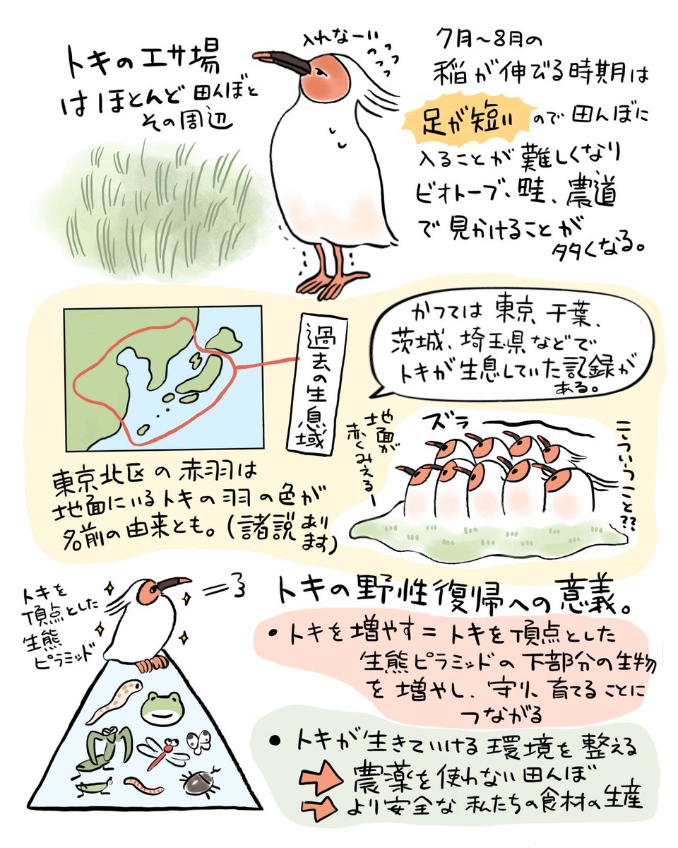 トキガイド養成講座 備忘録①(3/3) 