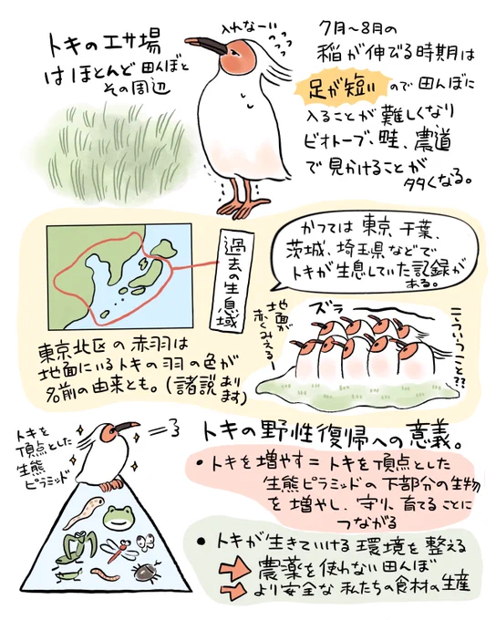 トキガイド養成講座 備忘録①(3/3) 