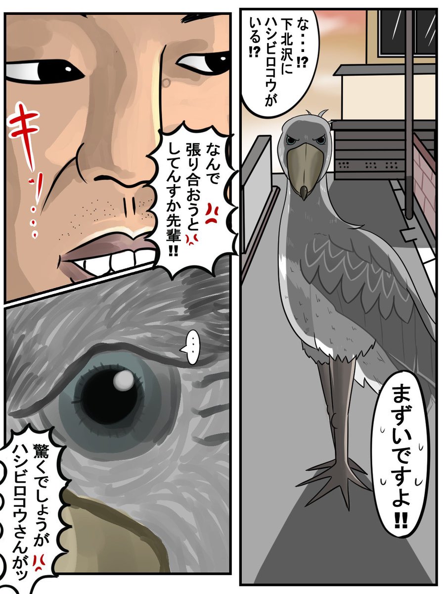 野鳥先輩 