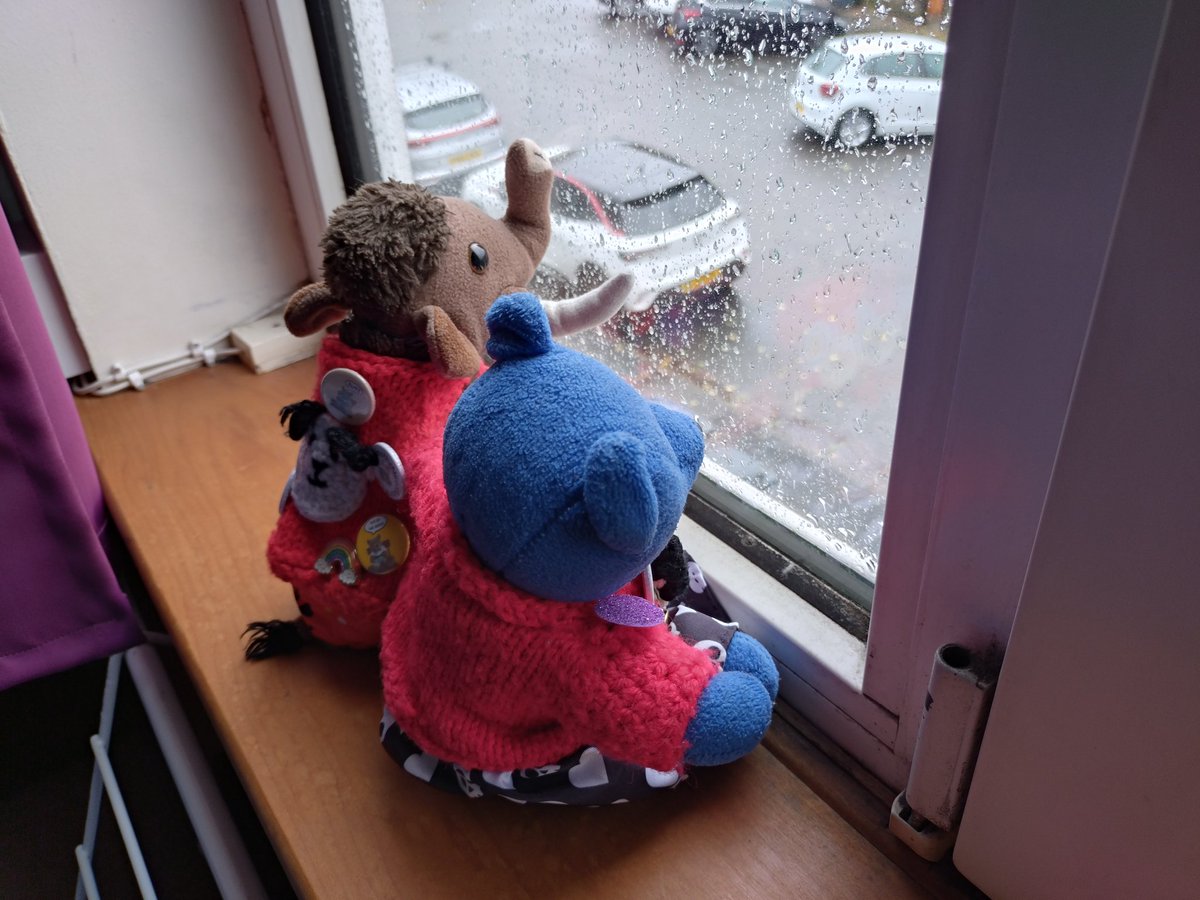 RedditchMammoth's tweet photo. 'Utterly driech, Milly.' 'Haed to believe we were drinking beer on the pub patio yesterday, Blueberry. Best to stay in today.' 'Shall we make some scones?' 'I like your thinking.' #smallbearslovescones #rainyday β#driech https://t.co/B5anHS4MlH