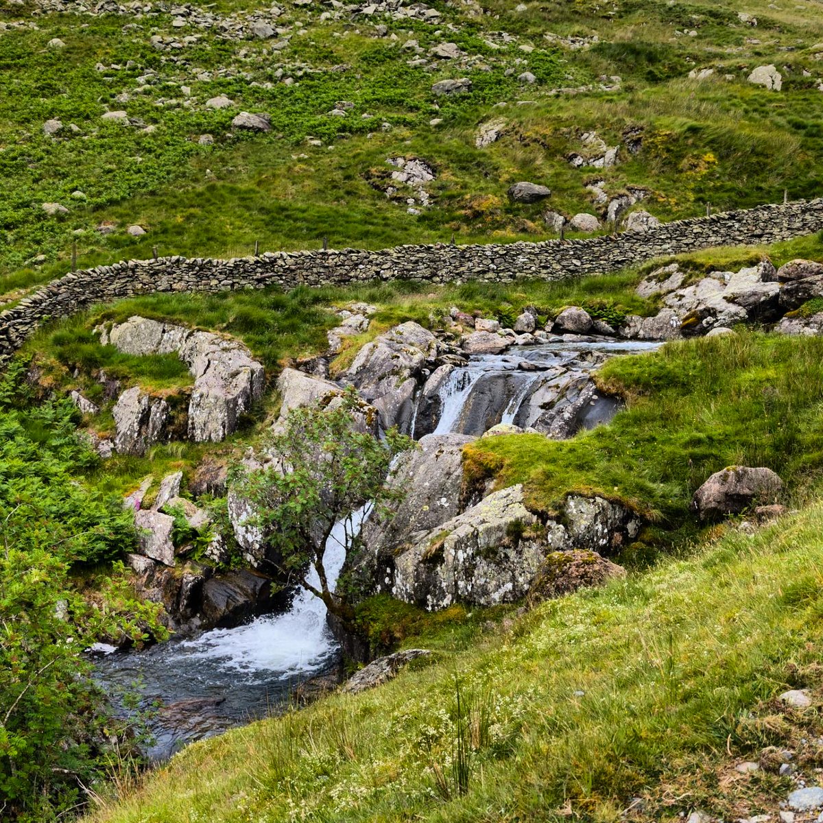 pjrn2014's tweet photo. 📌Lake District, England, UK

#NatureTherapy #NaturePhotograhpy https://t.co/CPUvrcIuPM