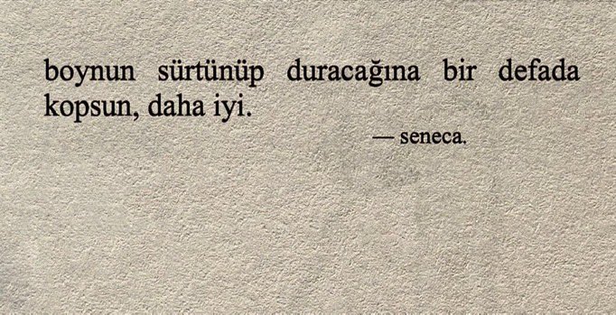 folieadeeux's tweet photo. https://t.co/wTAgmubLFI