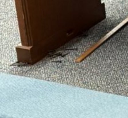 PreachyIan's tweet photo. @CerberusXt I love the pile of screws, I do the same thing when I take stuff apart so I don’t lose them. https://t.co/NbdHUdqQZl