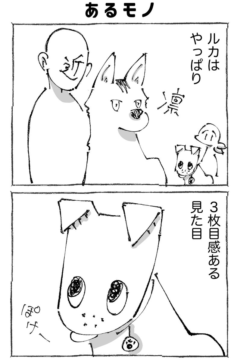 【1/3】 