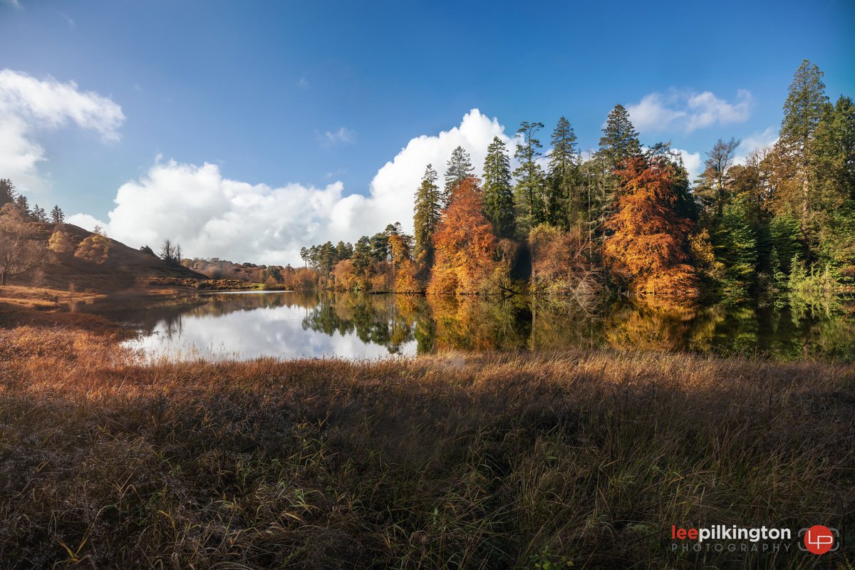 Beautiful Autumn day at
Tarn Hows, Lake District 

Calm before Storm Ashley…

#tarnhows #cumbria #lakedistrict #autumn
#autumnvibes
#canonr6
#nationaltrust