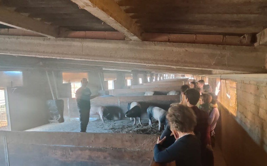 Avui visitem les instalacions del projecte <a href="/llavora_com/">llavora</a>, productor de porc ecològic que proveeix el nostre grup de consum 🐷🐷.