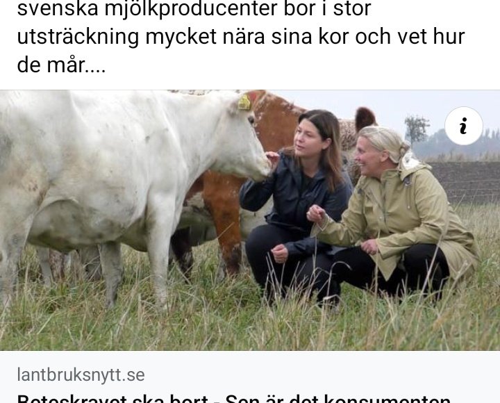 Liberalerna vill ha kvar beteskravet för mjölkkor i lösdrift. Partiet hävdar att det går att nå lönsamhet ändå. (Att korna inte mår bra av kravet rör de inte)

Därför åker de till Skånes mest konkursdrabbade gård och klappar köttraskor.

Kompetensen flödar..,.