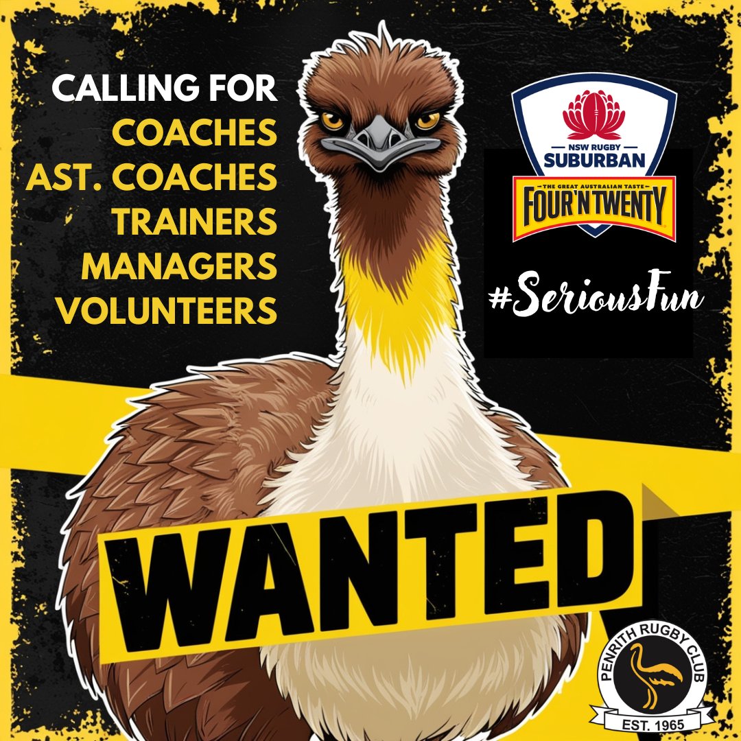 PenrithEmus1965's tweet photo. 🟡 ⚫ Coaches, Ast. Coaches, Trainers &amp; Managers wanted ⚫ 🟡

Penrith Rugby Union Club is searching for motivated coaches, trainers and managers to join the club's return in 2025.  
Penrith will aim to enter the third division of 'Subbies'. https://t.co/GuWmLOxn9A