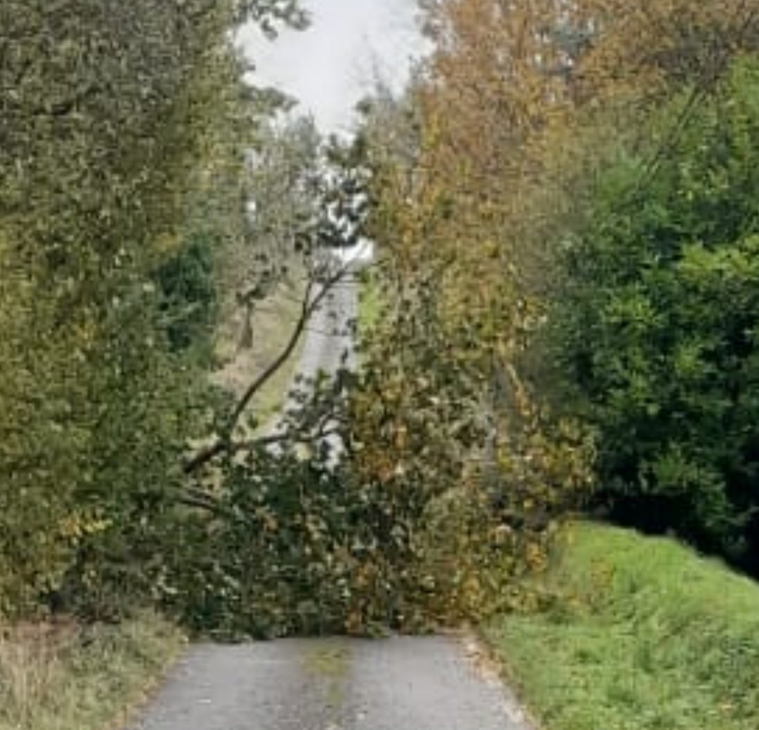 countykerry's tweet image. ROADS UPDATE #TRALEE

Trees down 🌳 

Entrance to Aldi/Rath Óraig, Tralee 

Entrance to St Brendan's Park, Tralee 

Healy's Cross, Ballyard, Tralee

Old Marian Park, Tralee 

Road at Laharn, Tralee 

Crews on site when safe to do so

Report issues to 066 7183588 

#StormAshley