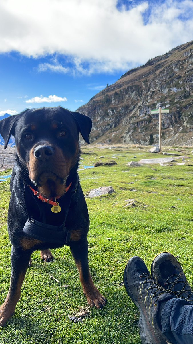 juuanma21's tweet photo. Cabana Sorda 📍🇦🇩🏔️ 🏃‍♂️ 

20/10 https://t.co/blbcjflReL