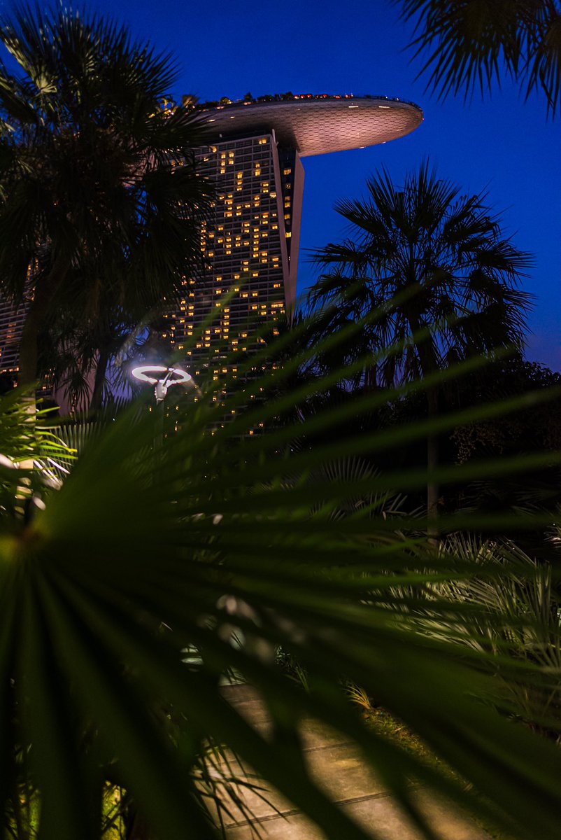 javanng's tweet photo. Taking in the beauty of Marina Bay Sands from the gardens’ perspective.
#marinabaysands #gardensbythebay #singapore #iconicbuilding #citybynight #seemycity https://t.co/9nYNfHFEp0