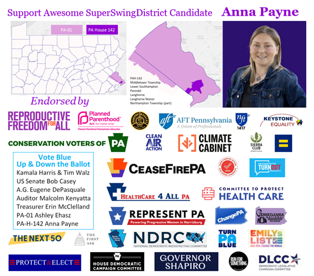 Super Swing Districts tweet media