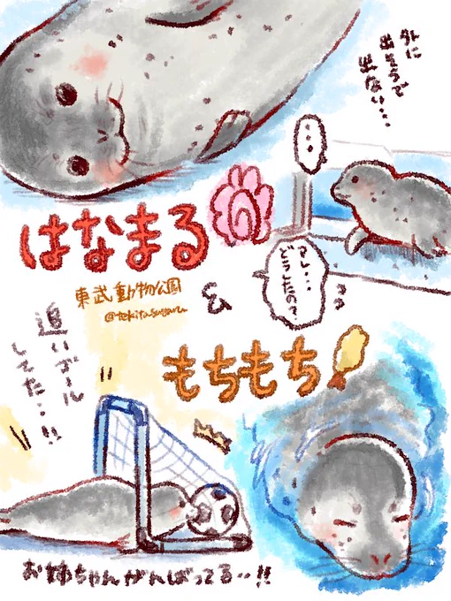もちもち🍤&amp;はなまる!💯
久々に会いに行ったら、2匹とも元気そうでした!
#すぐるらくがき 