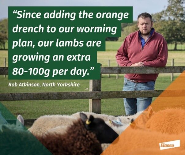 Wynnstay (@wynnstayagri) on Twitter photo Incorporating Zolvix into worming regimes will help to optimise lamb performance and prevent resistant worms being brought onto farms
Key times for use:
🐑 Quarantine treatment for incoming sheep
🐑 Mid-late season break-dose in lambs
<a href="/ElancoLivestock/">Elanco UK Livestock</a> Incorporating Zolvix into worming regimes will help to optimise lamb performance and prevent resistant worms being brought onto farms
Key times for use:
🐑 Quarantine treatment for incoming sheep
🐑 Mid-late season break-dose in lambs
<a href="/ElancoLivestock/">Elanco UK Livestock</a>