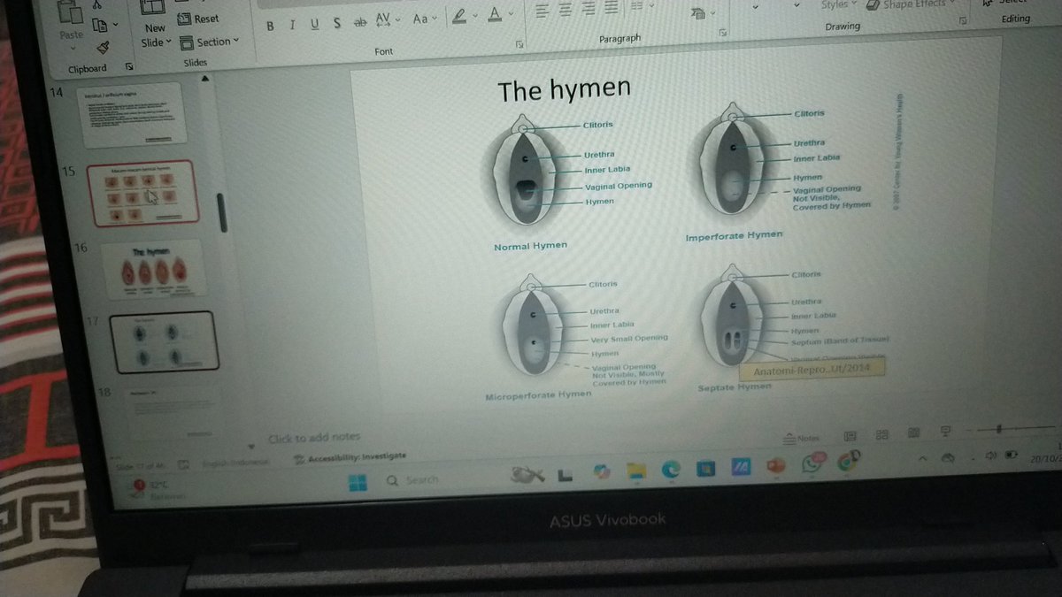 vane ࣪ ִֶָ☾. tweet media