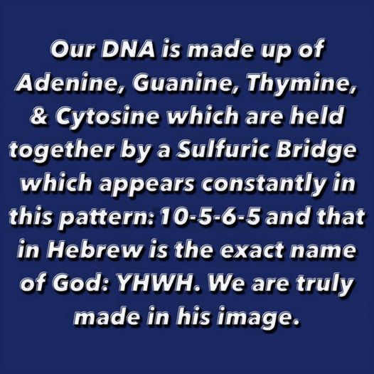 ะโล (แดษดแดแดก-แด๊ฑ) (@xmilehighx) on Twitter photo Except YHWH is Yaldabaoth AKA the Demiurge so instead we must fight against the BEAST within AKA our ego.
YHWH = IMITATOR GOD KNOWN AS JAHBULON (BAEL) - A DAEMON IN THE ARS GOETIA ALSO KNOWN AS THE MASONIC GOD & CHURCH OF LATTER DAY SAINTS 'LORD'
<a href="/Ryansikorski10/">Ryan sikorski</a>
<a href="/thejspaceonx2/">The jSpace On X</a> Except YHWH is Yaldabaoth AKA the Demiurge so instead we must fight against the BEAST within AKA our ego.
YHWH = IMITATOR GOD KNOWN AS JAHBULON (BAEL) - A DAEMON IN THE ARS GOETIA ALSO KNOWN AS THE MASONIC GOD & CHURCH OF LATTER DAY SAINTS 'LORD'
<a href="/Ryansikorski10/">Ryan sikorski</a>
<a href="/thejspaceonx2/">The jSpace On X</a>