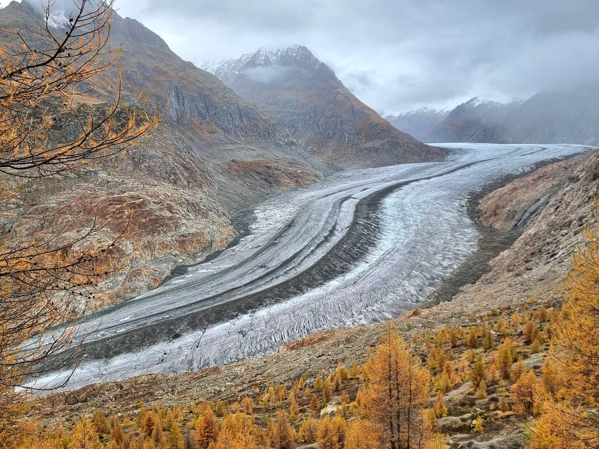 The one and only...
Every time an enchantment! 🥰