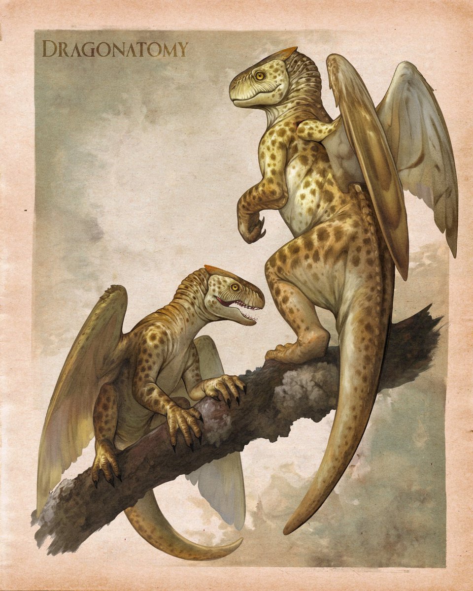 TopherStoll's tweet image. Banana Dragons are common, intelligent pack-hunters with keen spacial reasoning for navigating dense jungle canopies.
They hunt in packs and signal each other with complex exchanges of clicks, whistles, and hisses.
kck.st/3zGpMEu