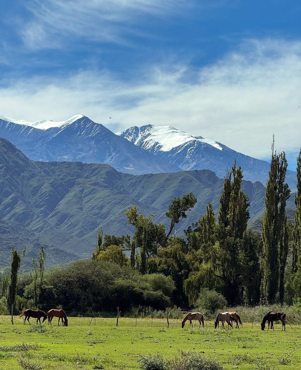 Una postal de Cachi, Salta
Foto de sebau_84
