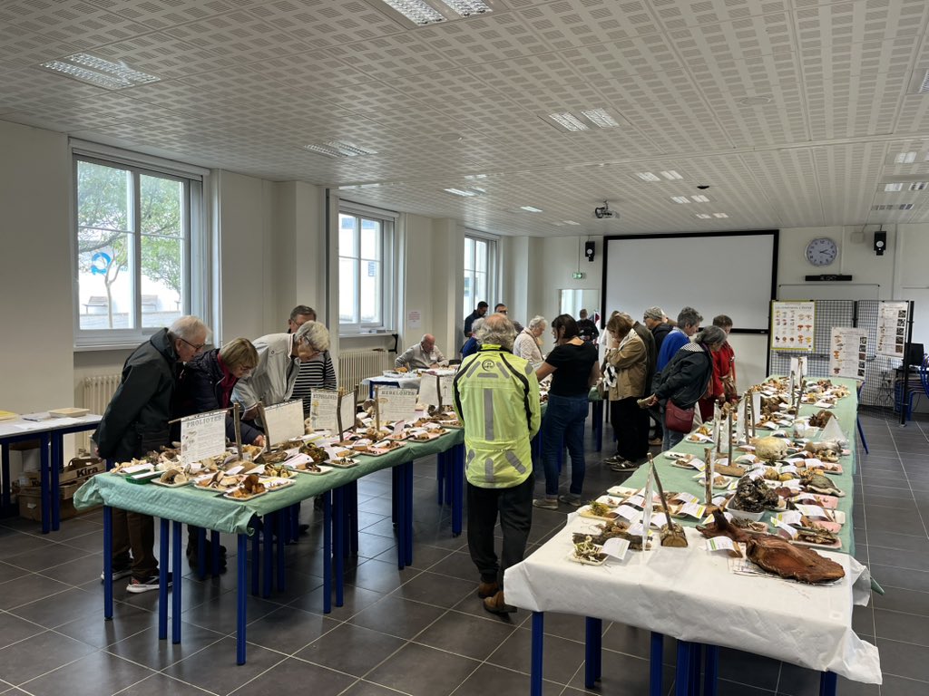 𝕊ⵉƁ𐤠ⳜƬƖƸƝ 𝓕🅰️UᖇΞ 🇺🇦 🇪🇺 tweet media