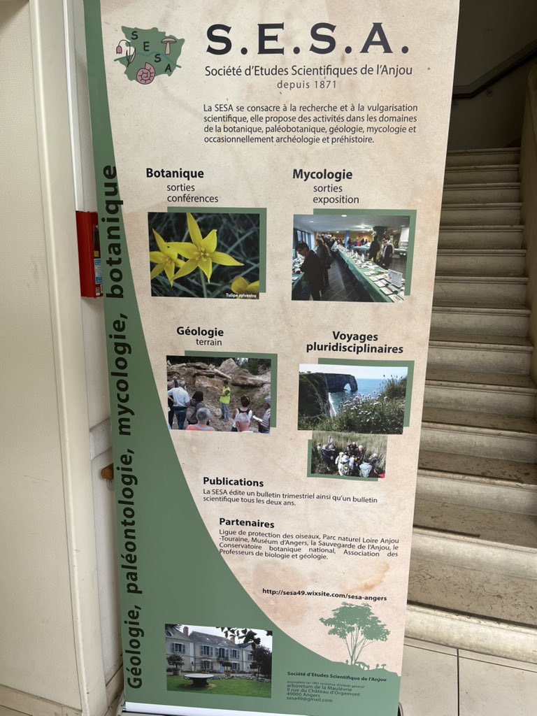 𝕊ⵉƁ𐤠ⳜƬƖƸƝ 𝓕🅰️UᖇΞ 🇺🇦 🇪🇺 (@seb_faure) on Twitter photo Traditionnelle exposition de champignons 🍄🟫 au département #pharmacie de @FacSante_Angers avec la SeSa.
Merci aux nombreux bénévoles, aux experts et conférenciers et aux services d’<a href="/Angers/">Ville d'Angers</a> pour la communication, permettant une grande affluence tant en champignons qu’en public Traditionnelle exposition de champignons 🍄🟫 au département #pharmacie de @FacSante_Angers avec la SeSa.
Merci aux nombreux bénévoles, aux experts et conférenciers et aux services d’<a href="/Angers/">Ville d'Angers</a> pour la communication, permettant une grande affluence tant en champignons qu’en public
