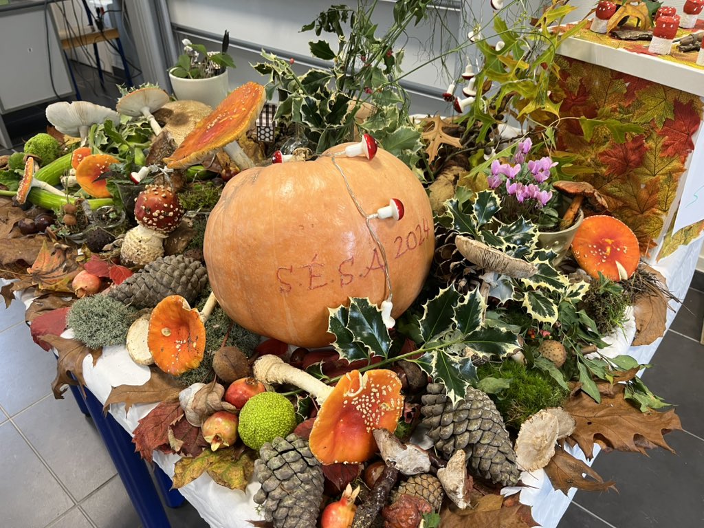 𝕊ⵉƁ𐤠ⳜƬƖƸƝ 𝓕🅰️UᖇΞ 🇺🇦 🇪🇺 tweet media