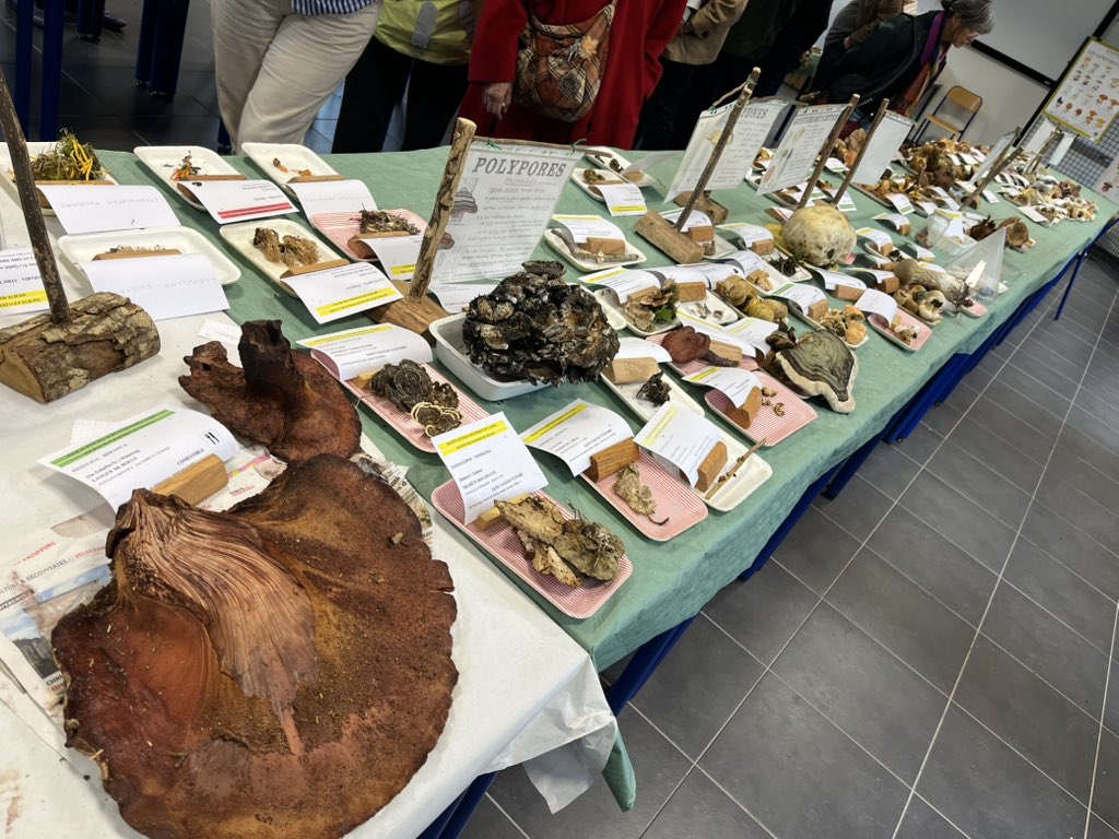 𝕊ⵉƁ𐤠ⳜƬƖƸƝ 𝓕🅰️UᖇΞ 🇺🇦 🇪🇺 tweet media