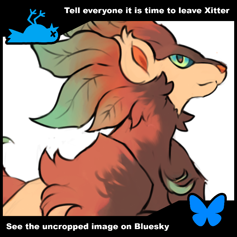 🏕️DANDY💫 dholedays.bsky.social tweet media