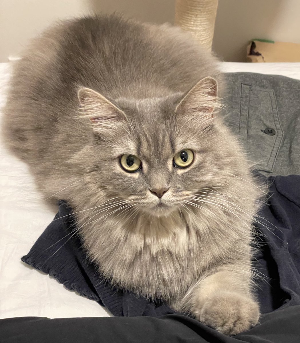 まったりタイム