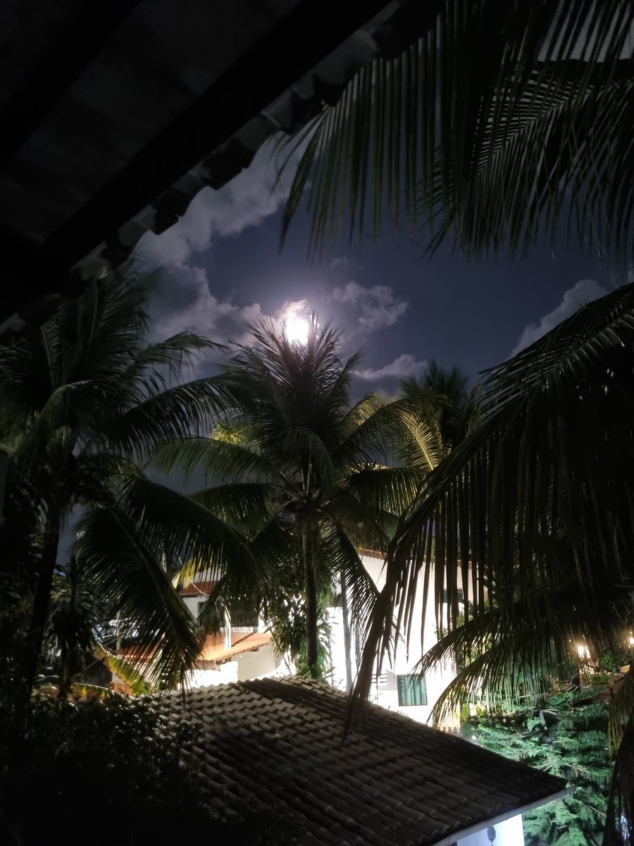 O luar pelo olhar do meu par, <a href="/CrisSFH/">Cristiane Fernandes</a>