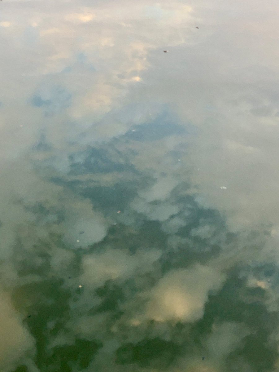 Good evening,
Hello,
Good morning🍂
It's hot during the day, but it's getting colder in the morning and evening☀️How is your place of residence?

The Photo is a river. The atmosphere is different from usual, so I took a picture📷👀

#JapanTravel #Japantrip
#picture #photos