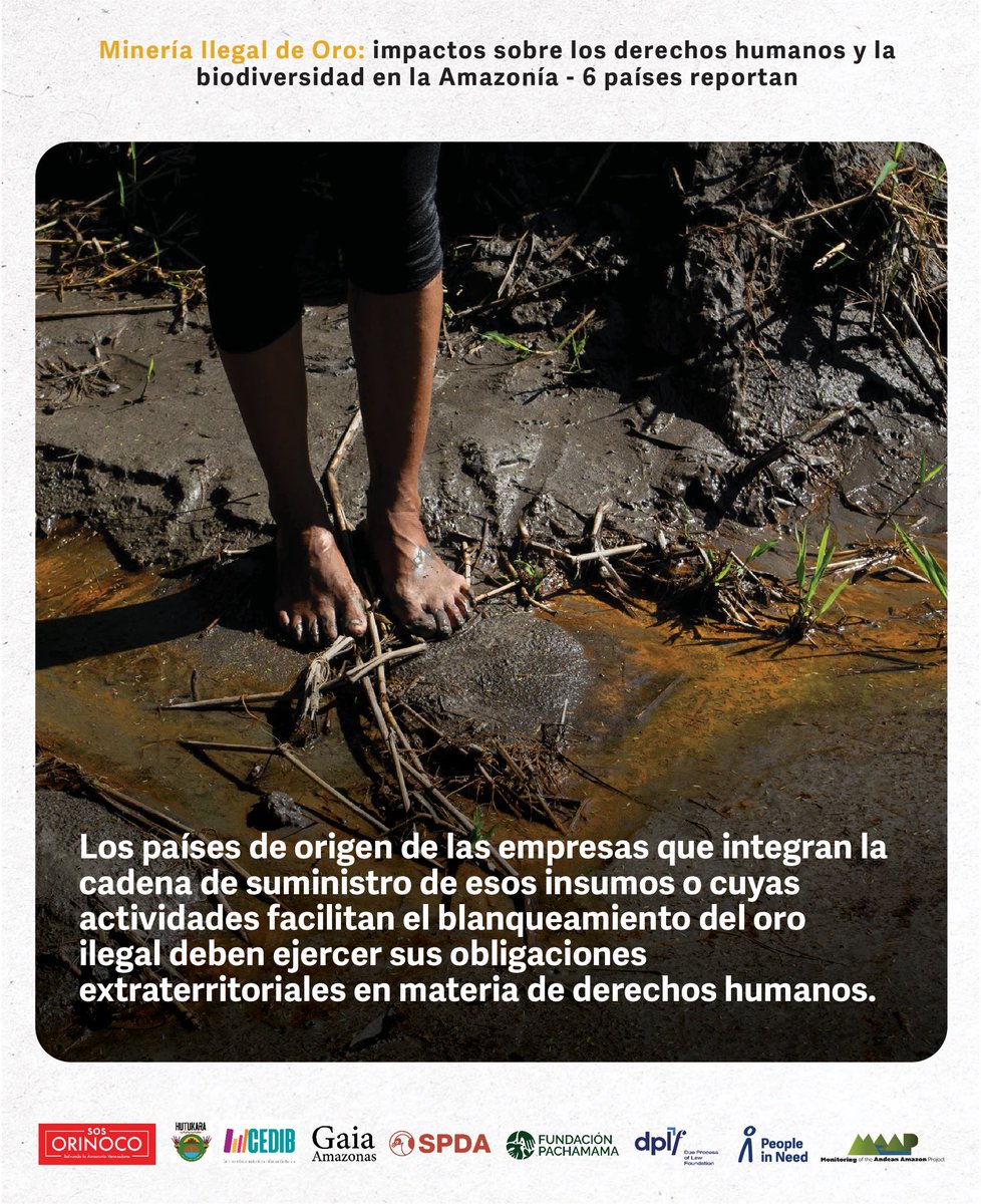 🚨 Mañana es la presentación oficial de nuestro informe sobre minería ilegal de oro y sus impactos en la Amazonía. A pesar de que los países amazónicos han ratificado el Convenio de Minamata, la contaminación por mercurio sigue afectando gravemente la biodiversidad y los derechos