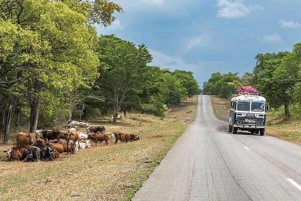 MitchellMGumbo's tweet photo. Something about this picture taken somewhere in Zimbabwe just tugged at my soul man . Beautiful country. https://t.co/nIyR9LrqWG