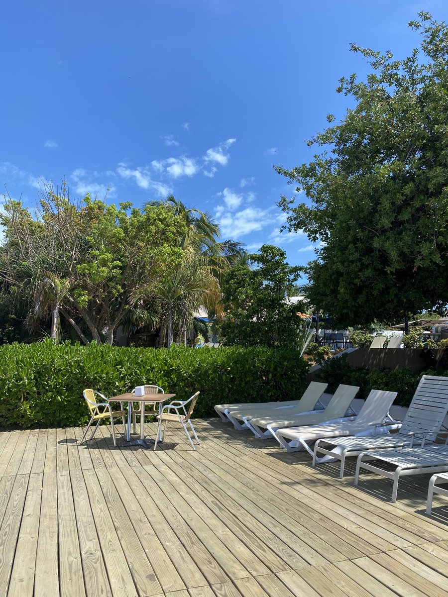 dolphindiscENG's tweet photo. 🌴🐬 Isla Mujeres is the tropical paradise you've been looking for! Come to Dolphin Discovery and experience swimming with Dolphins while enjoying the stunning views of this Caribbean gem. #IslaMujeres #DolphinDiscovery https://t.co/NW57NRu93T