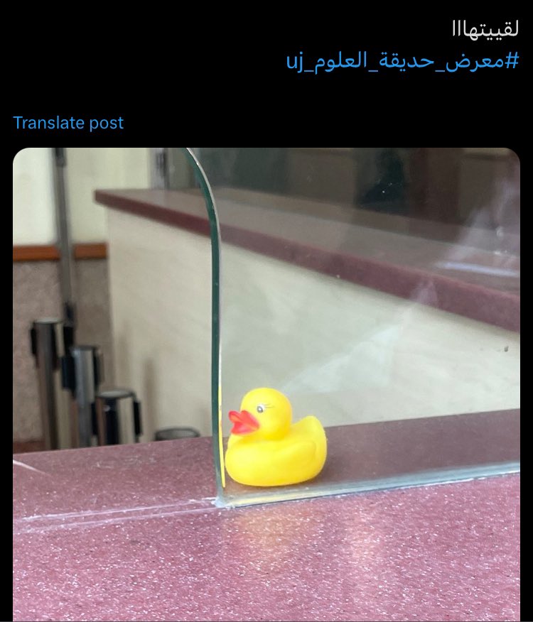 symphonyfnature's tweet photo. غنييييمة اليوووم🫡🫡🤚🏻

تم الصيد اليوم بنجاااح🕵🏻‍♀️✨…..

حتستمر عملية الصيد إلى يوم 30 اكتوبر 🕺🏻✨

شدّو الهمة حتزي�� صعوبة المراحل مع كل يوم يعدي😉💪🏻، دورو فالأماكن الصغيرة والي ماتخطر على البال👁️🔎
ولا تنسو توثقولنا ب #معرض_حديقة_العلوم_uj 
Good luck hunters 🫡🕶️ https://t.co/btBwUFst4G
