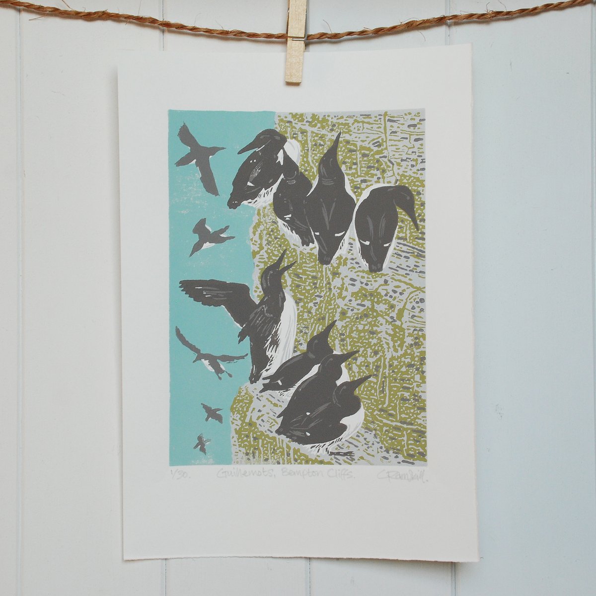 littleramstudio's tweet photo. 'Guillemots, Bempton Cliffs' limited edition linocut print.
Lots of prints available in our lovely little online art shop here> https://t.co/EbU92NJL6q
As it's a little quiet presently a visit or a RT would be fab, we need something to do in the wrapping department! 
#shopsmall https://t.co/gU1qgurqFq