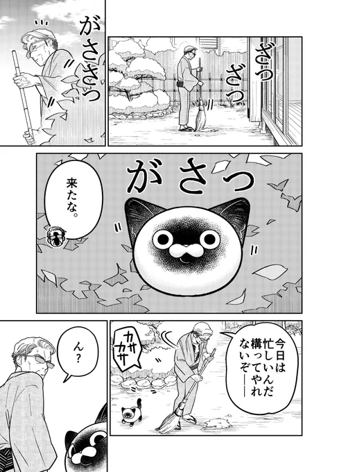 (1/3) 