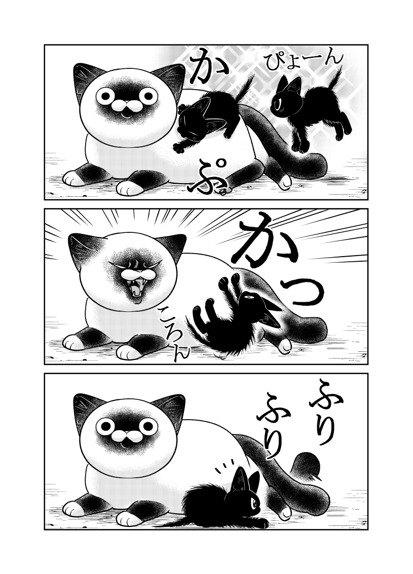 (2/3) 