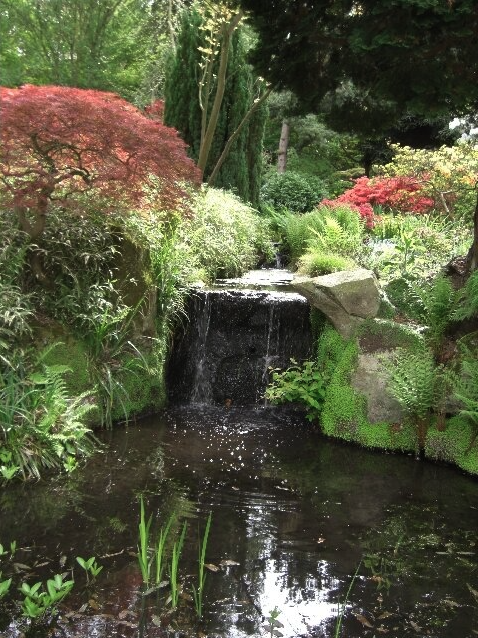 London National Garden Scheme tweet media