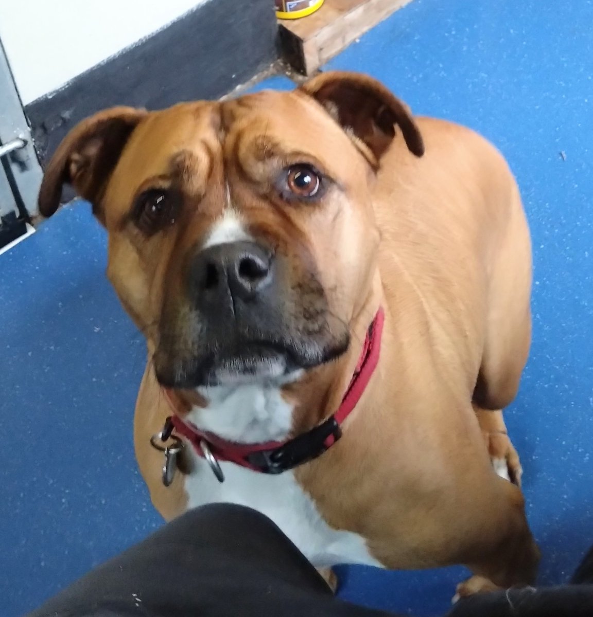 Louie is simply stunning 💞