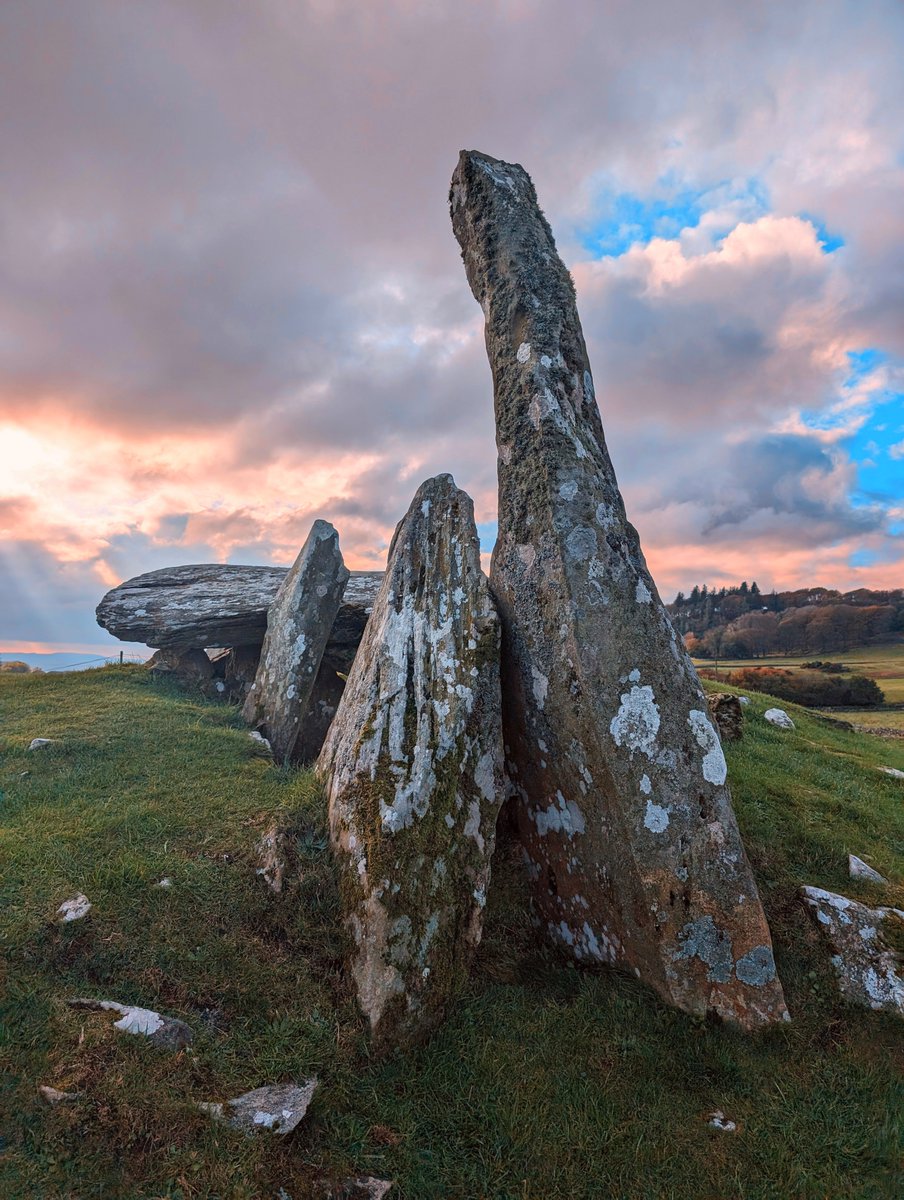 Stone Me tweet media