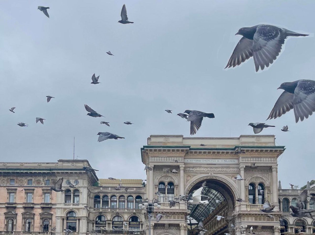 biketune2's tweet image. The weekend is a happy one. I met a group of cute little creatures near the church. They were looking for food in the rain.😘😘