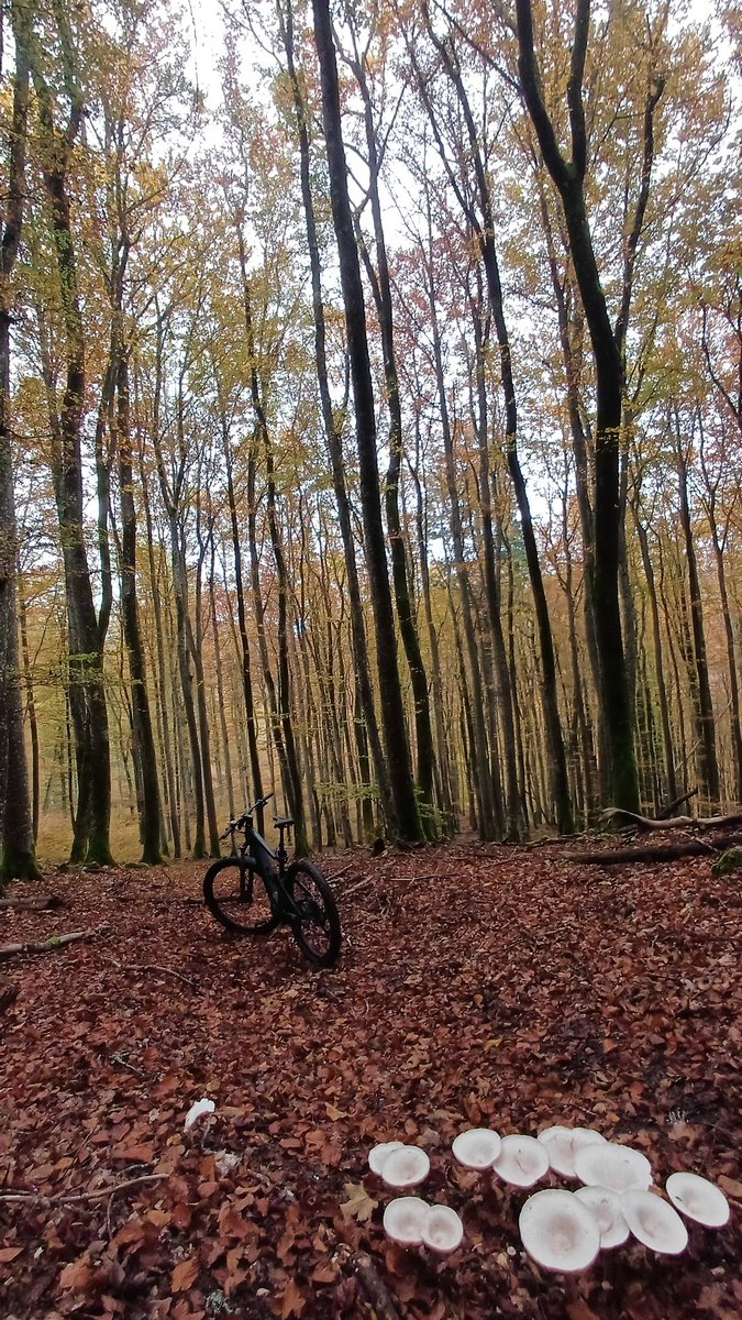 Bei Nebel triffst du keine Menschen Seele! 
So schön kann der Sonntag sein! 🤫
