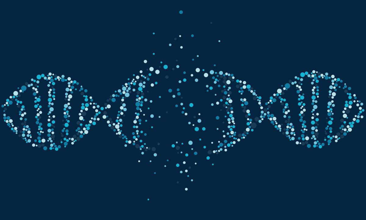 SynBioBeta's tweet photo. New research reveals how the absence of USP50 leads to DNA replication defects and hereditary diseases.
#USP50 #ProteinScience #DNAReplication #GenomeStability #MolecularBiology #GeneticResearch
https://t.co/qZd2inTeWp https://t.co/k1oRhbCEAy